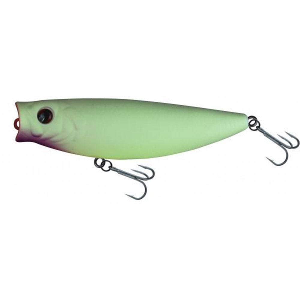 Japanese Salt 8cm 14gr Popper Rapala Maket Balık - HG2745