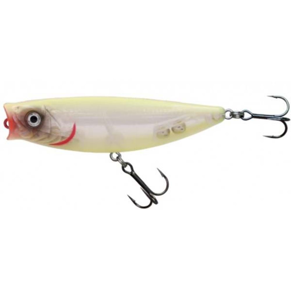 Japanese Salt 8cm 14gr Popper Rapala Maket Balık - HG2747