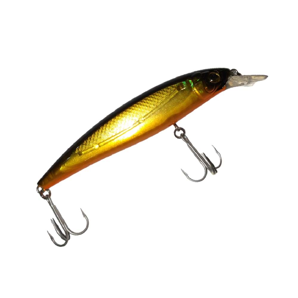 Discovery 10cm 14gr Rapala Maket Balık