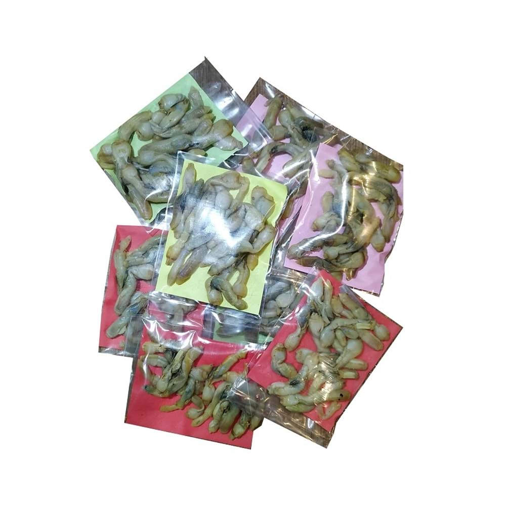 PASTÖRİZE EDİLMİŞ SÜLÜNEZ BALIK YEMİ