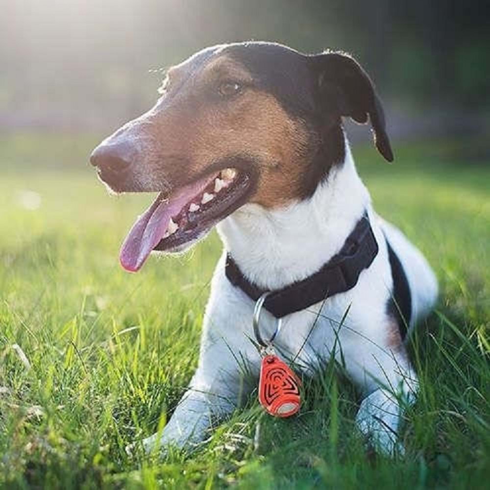 Tickless Pet Ultrasonic Turuncu - Kedi ve Köpek İçin Kene Bit Pire Kovucu