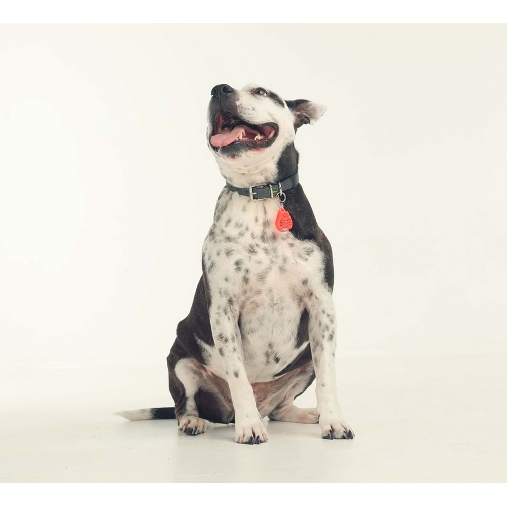 Tickless Pet Ultrasonic Turuncu - Kedi ve Köpek İçin Kene Bit Pire Kovucu