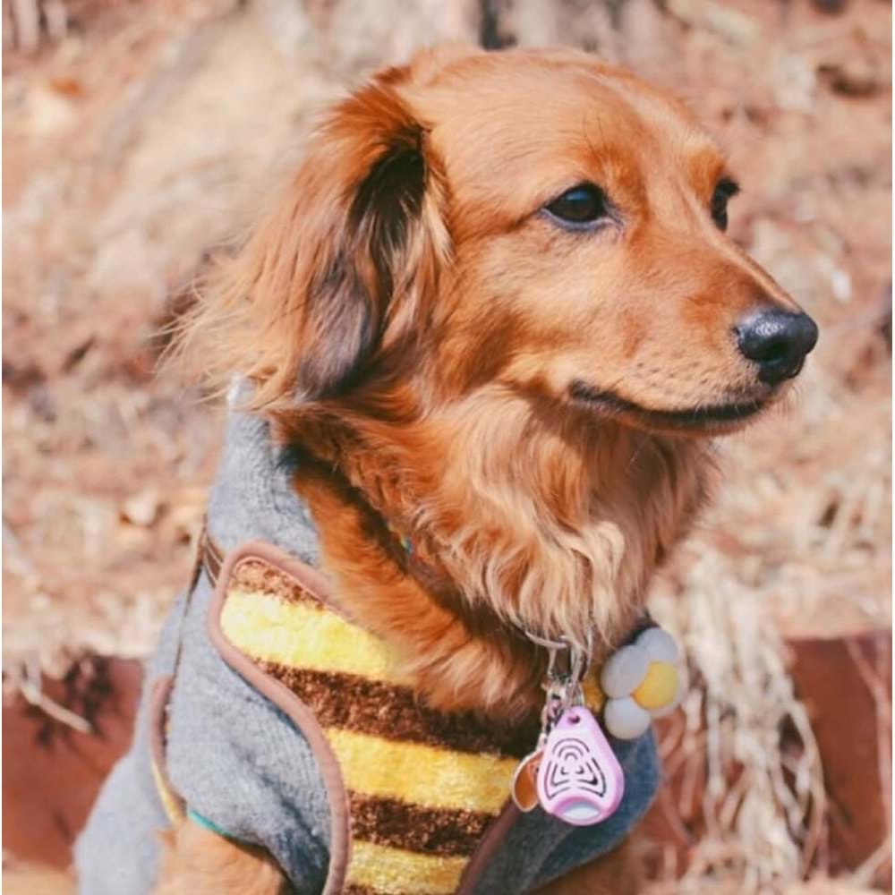 Tickless Pet Ultrasonic Pembe - Kedi ve Köpek İçin Kene Bit Pire Kovucu