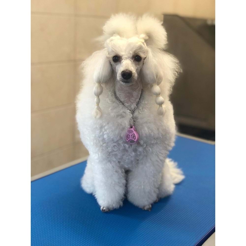 Tickless Pet Ultrasonic Pembe - Kedi ve Köpek İçin Kene Bit Pire Kovucu