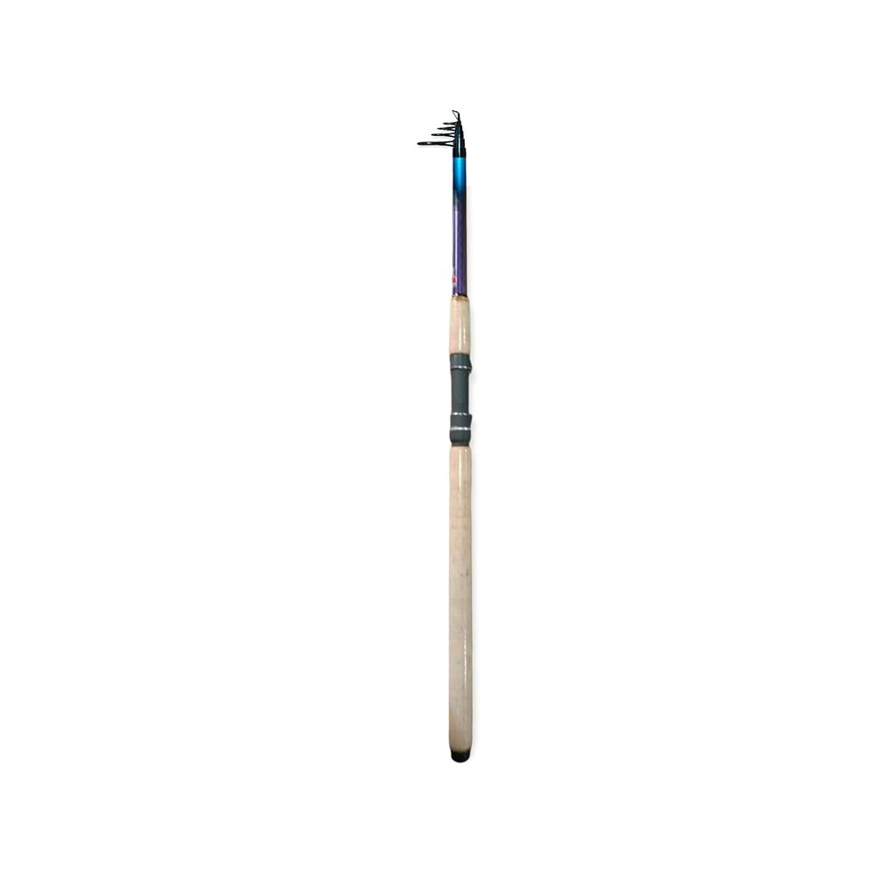 DAM Senso Power Tele 200 3.30m. 100-200gr Action