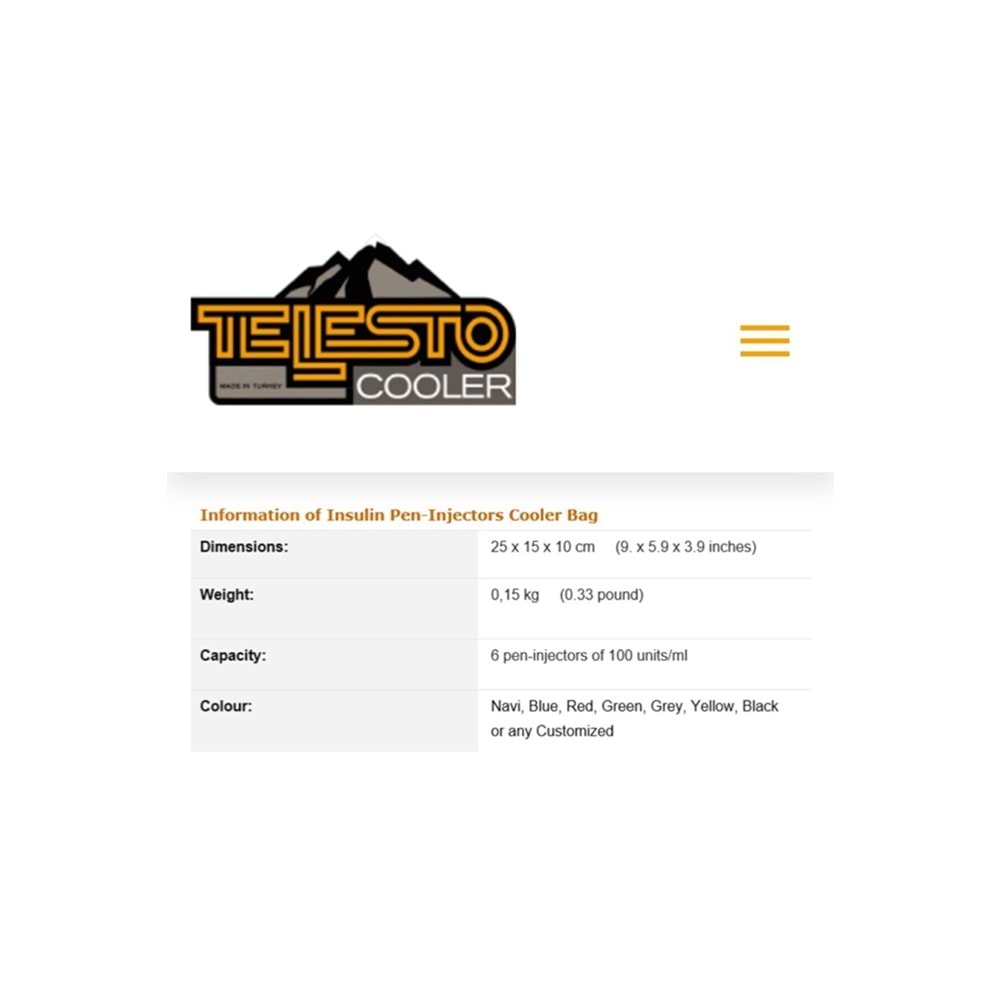 TELESTO SİYAH İNSÜLİN ENJEKTÖR SOĞUTUCU TERMOS ÇANTA
