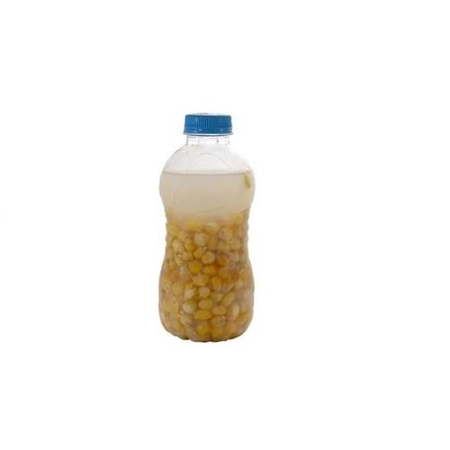 KONSERVE MISIR