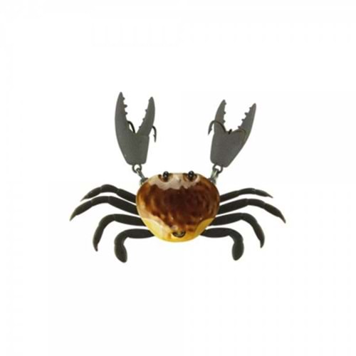 Japanese Yengeç Crab HG2562
