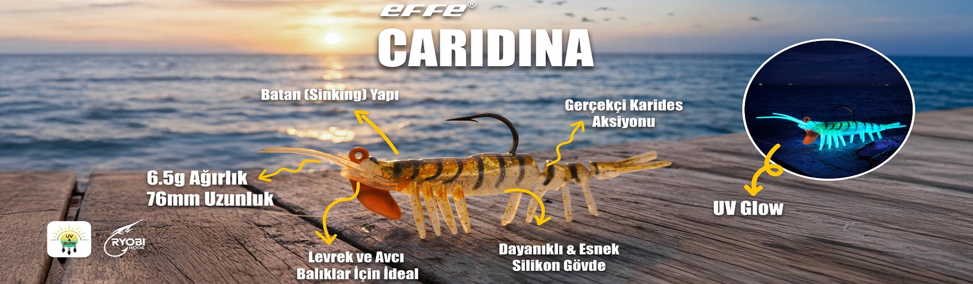 sasi karides, effe karides, caridina, pandora karides